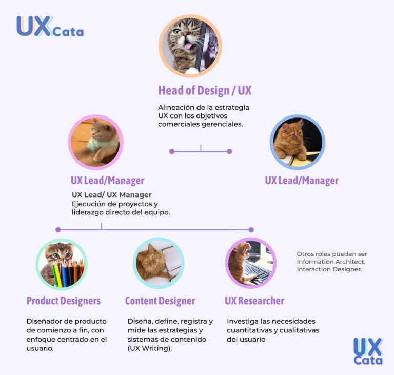 Estructura equipo UX